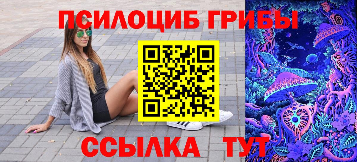 Псилоцибиновые грибы Psilocybe  Вход с VPN  Златоуст 